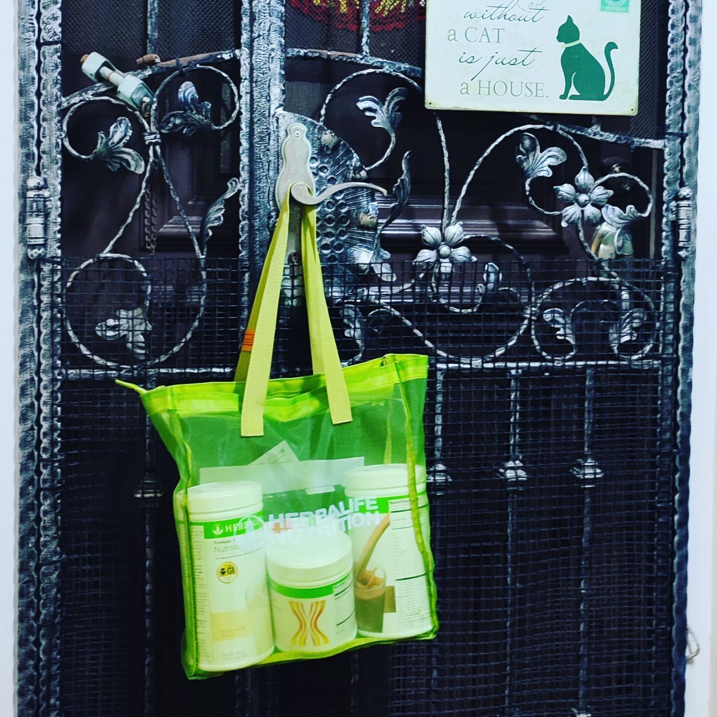 Successful Herbalife delivery at Pasir Ris, Singapore!

Customer reorders healthy protein breakfast bundle set to maintain good health, healthy weight and improve immunity.

Grab your healthy protein breakfast set from official Herbalife distributors at https://activelifestyler.com/product/healthy-breakfast-protein-set/

#herbalifenutritionsg #herbalifesingapore #herbalifeshop #herbalife #activelifestyler #herbalifenutrition #herbalifeindependentdistributor #herbalifemember